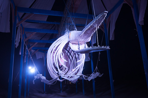 The Ichthyosaur Puppet Project