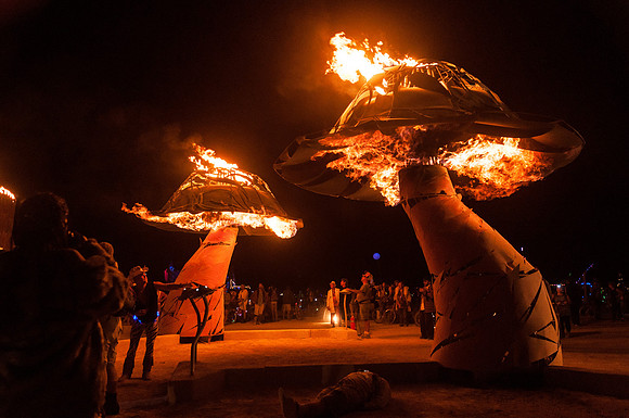 Xylophage by the Flaming Lotus Girls