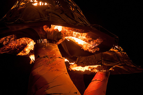 Xylophage by the Flaming Lotus Girls