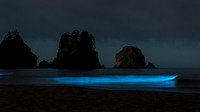 Bioluminescent Waves