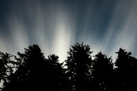 Moonbeams