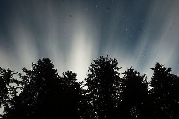 Moonbeams