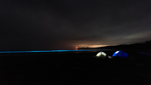 Shi Shi Beach with Bioluminescent waves