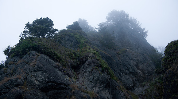 Morning Solitude